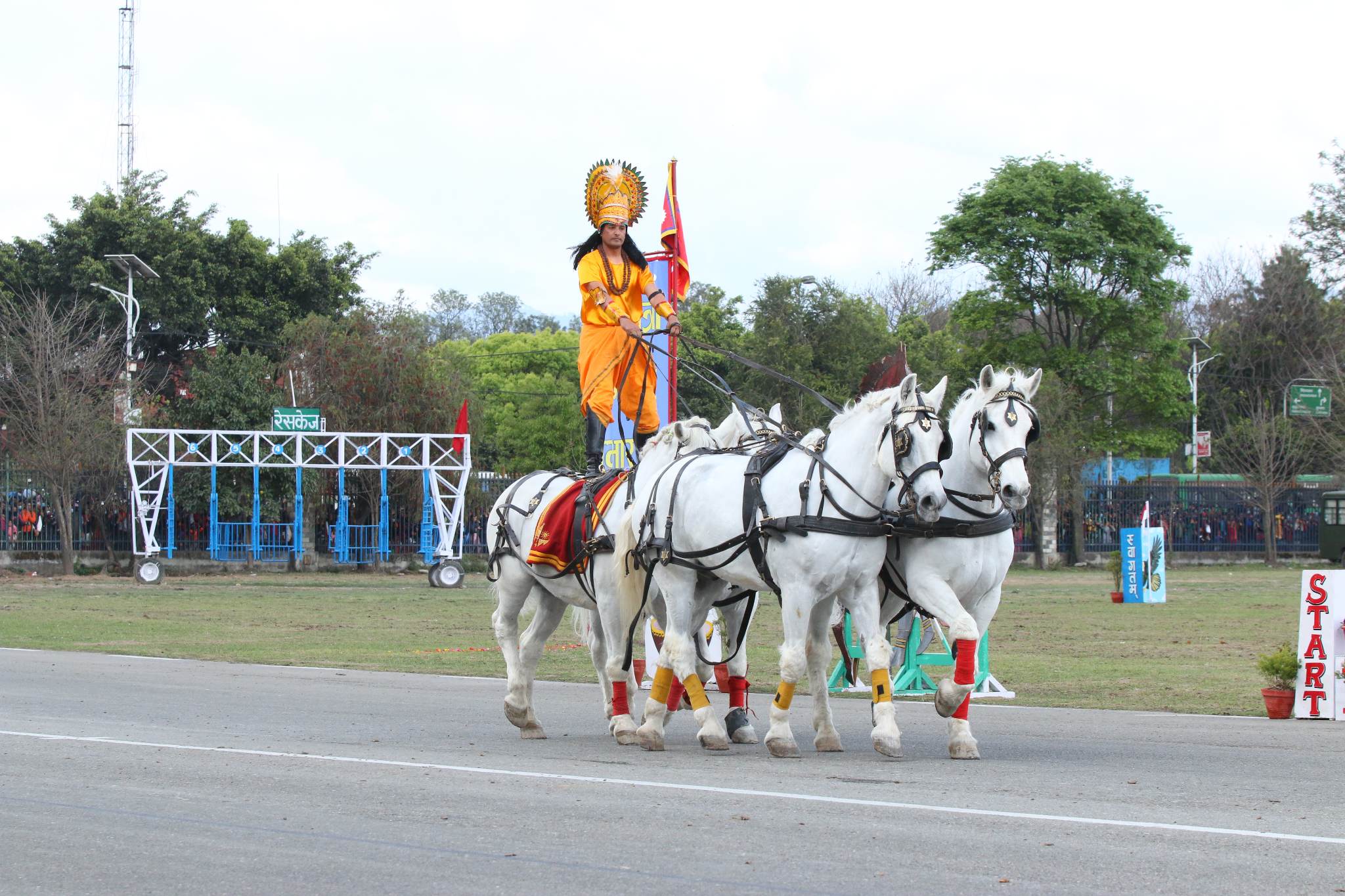 Ghode Jatra31679398360.jpg